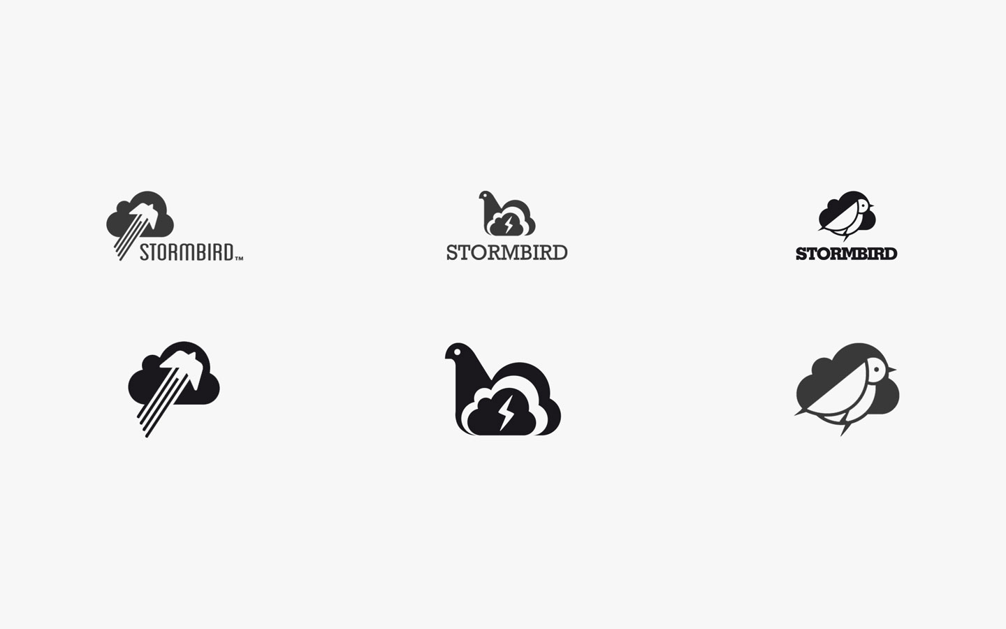 Storm Bird Logo Design in Developments